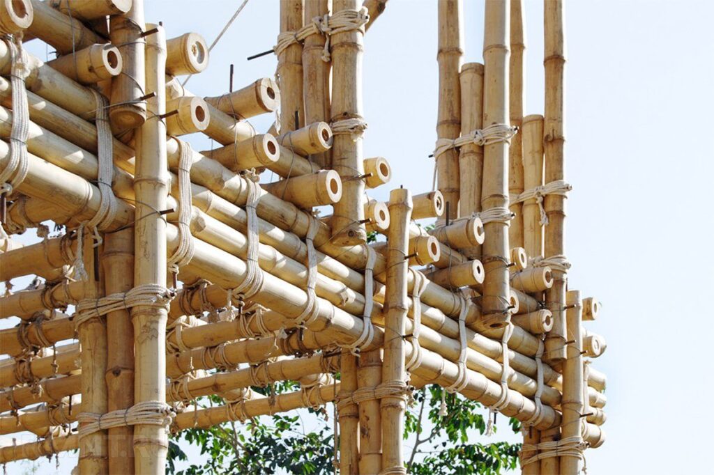Bambu