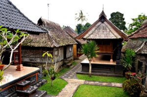 Cordyline australis — Pandan Bali (coldfeett.blogspot.com)