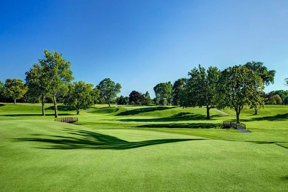 Cynodon transvaalensis — Rumput Golf (golf.com)