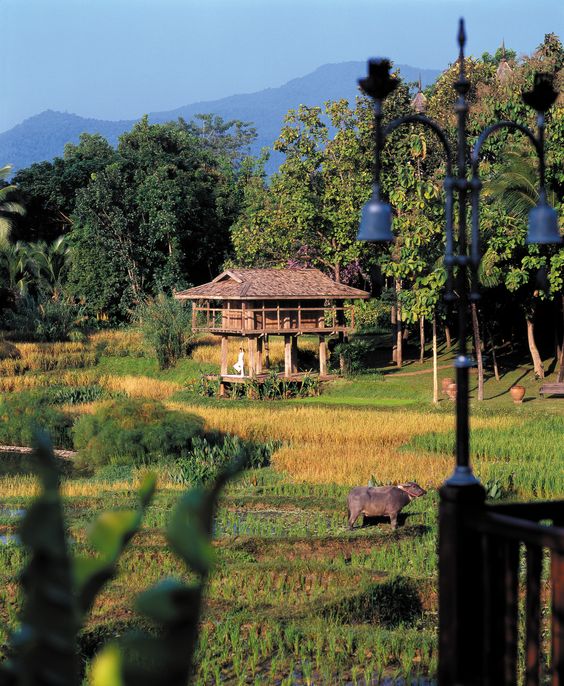 Desain Lanskap Agrowisata Tema Oriental (pinterest.com)