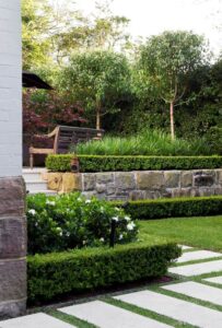 Gardenia jasminoides — Kacapiring (cdn.homedit.com)
