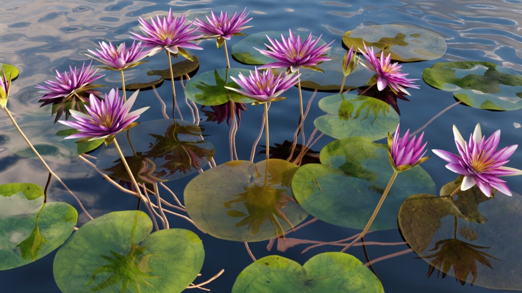 Nymphaea sp. — Teratai (3dtree.info)