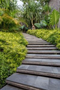Osmoxylon lineare — Aralea (contemporist.com)